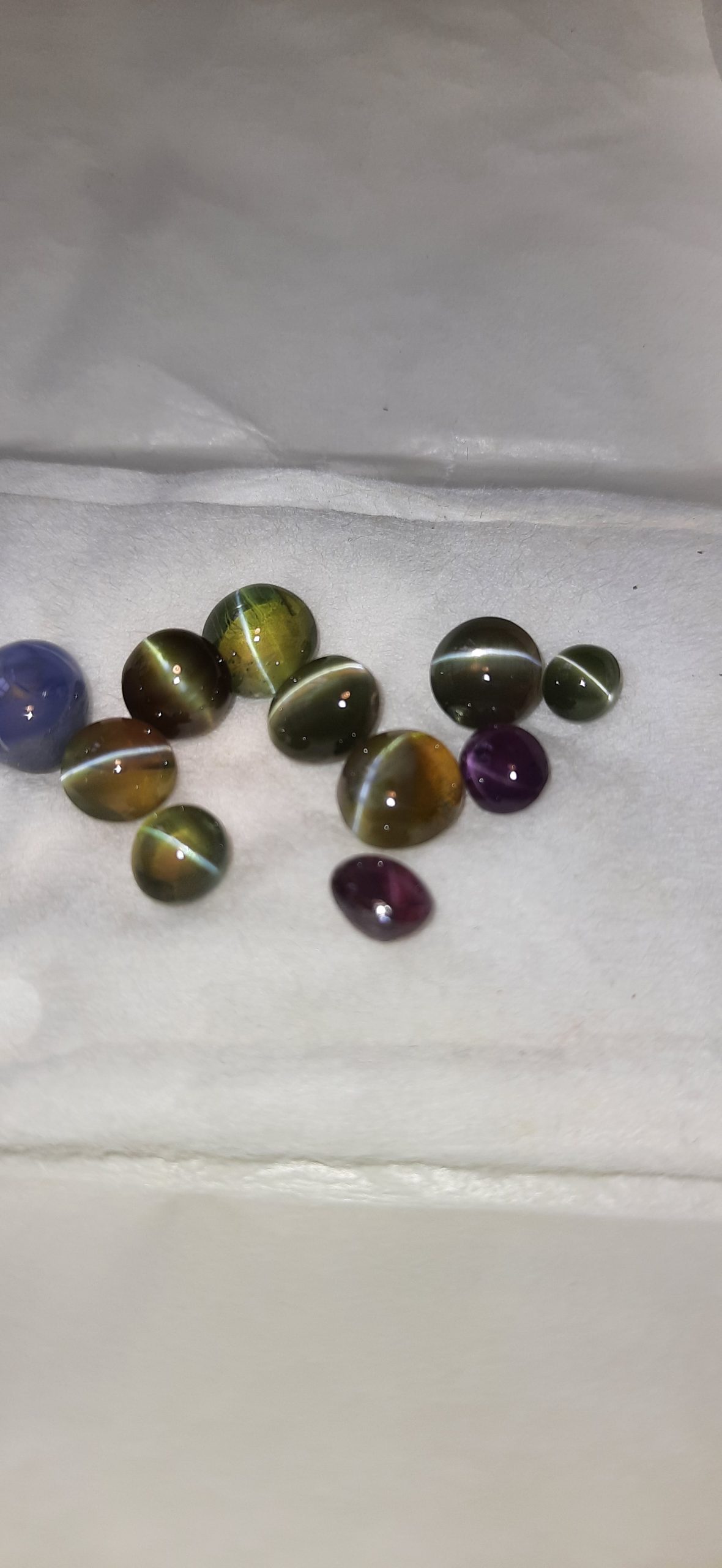 1.80ct Light Yellowish Green Cat's Eye — Galle, Sri Lanka